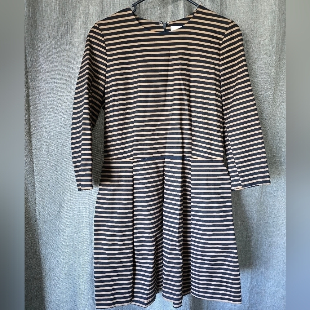 Gap Womens Dress 8 Black Brown Striped A Line Long Sleeve Stretch Pockets